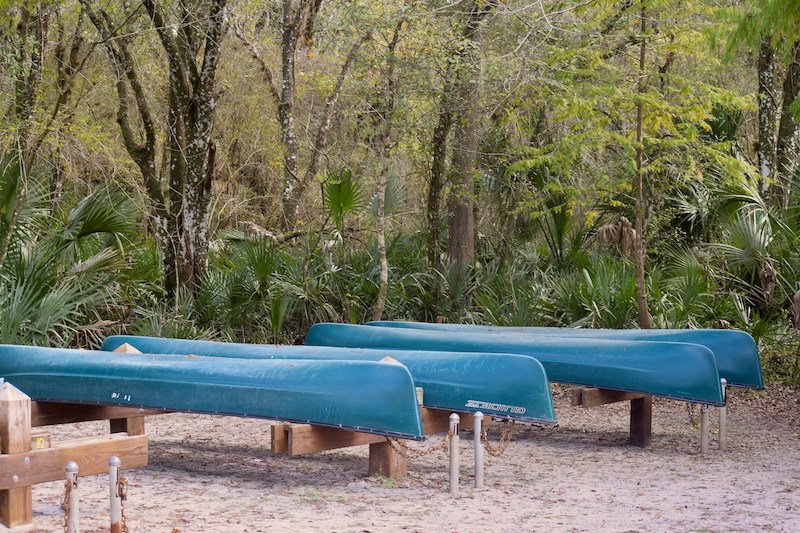 Kayak Lettuce Lake Park in Tampa, Florida