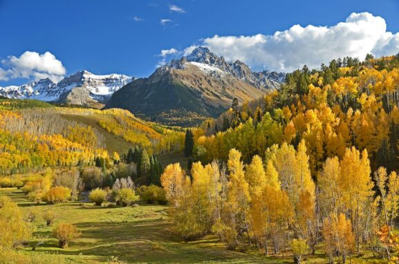 Fall Color Dallas Divide Colorado