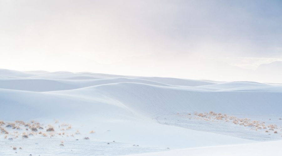 Adventures in White Sands National Monument